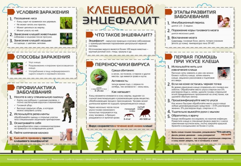 ПРОФИЛАКТИКА ИНФЕКЦИЙ, ПЕРЕДАЮЩИХСЯ С УКУСОМ КЛЕЩЕЙ