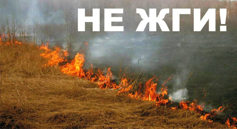 СЖИГАНИЕ ТРАВЫ - АДМИНИСТРАТИВНОЕ ПРАВОНАРУШЕНИЕ!