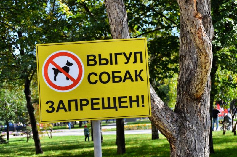 «ЧЕЛОВЕК СОБАКЕ ДРУГ…»
