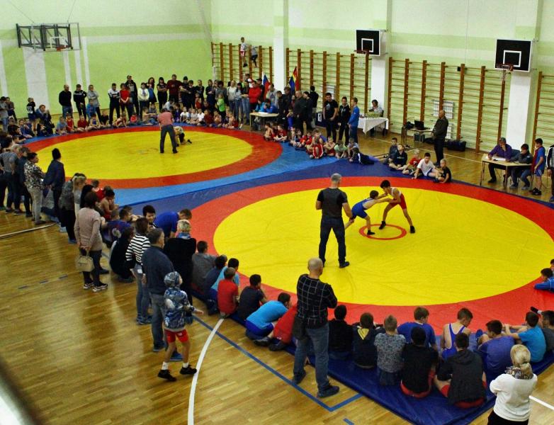 ВОЛЬНАЯ БОРЬБА