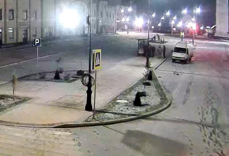 ВАНДАЛОВ ЗАДЕРЖАЛИ ГОРОЖАНЕ