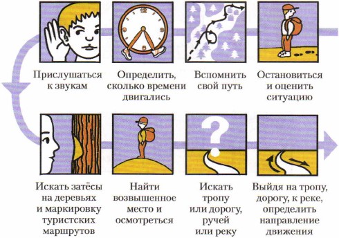 БЕЗОПАСНОЕ ПОВЕДЕНИЕ И ДЕЙСТВИЯ ПРИ ПОТЕРЕ ОРИЕНТИРОВКИ В ЛЕСУ