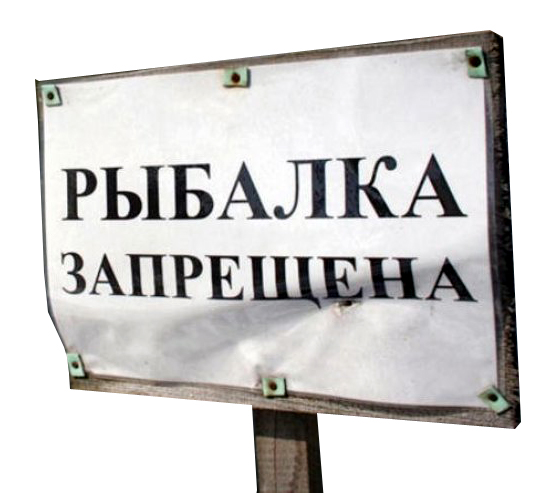 ВНИМАНИЕ, НЕРЕСТ!