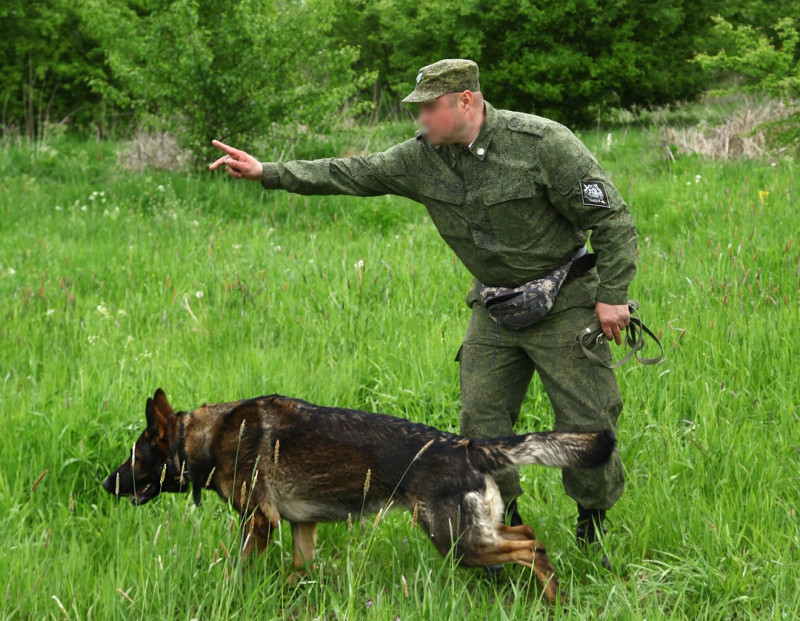 ПОБЕДИТЕЛЬ И МАСТЕР СПОРТА