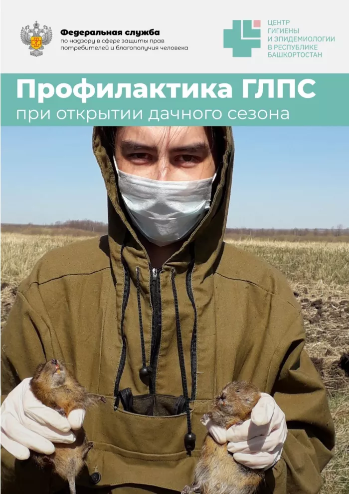 С наступлением дачного сезона Роспотребнадзор информирует о профилактике геморрагической лихорадки с почечным синдромом (ГЛПС)