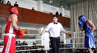 чемпионат по боксу