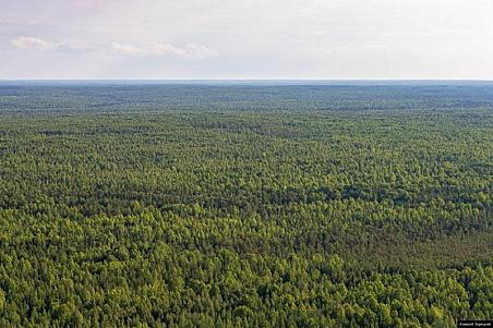 Особый противопожарный режим стартует в Свердловской области с 25 апреля