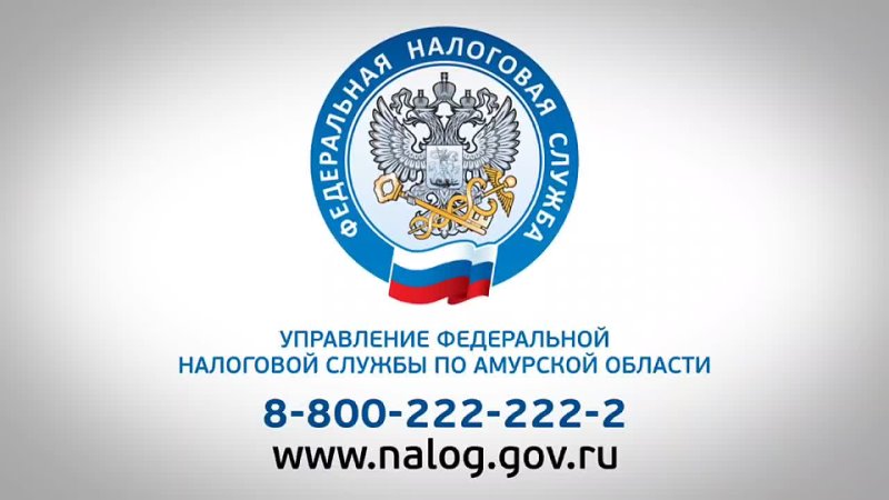 УФНС России по Амурской области напоминает о сроках уплаты налогов  сделать это необходимо до 2 декабря 2024 года!