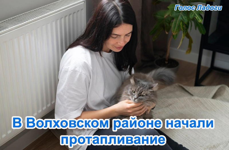 В Волховском районе начали протапливание