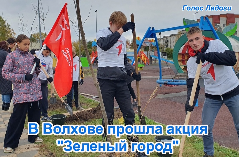 В Волхове прошла акция "Зеленый город"