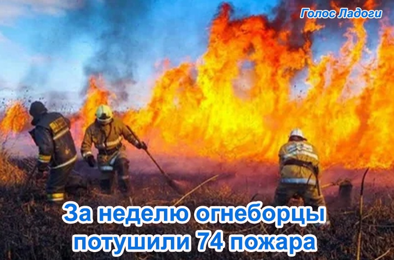 За неделю огнеборцы потушили 74 пожара