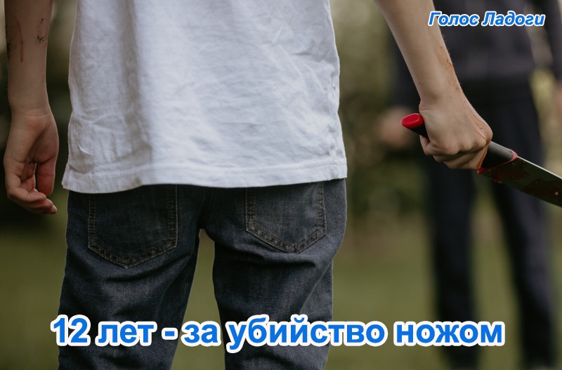 12 лет - за убийство ножом