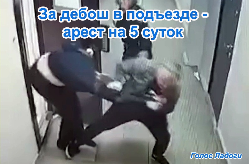За дебош в подъезде - арест на 5 суток