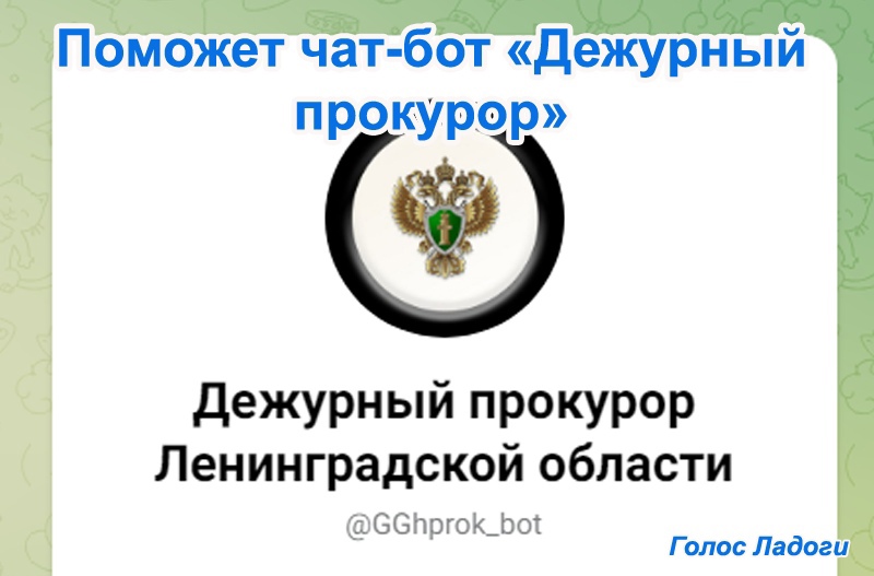 Поможет чат-бот Дежурный прокурор
