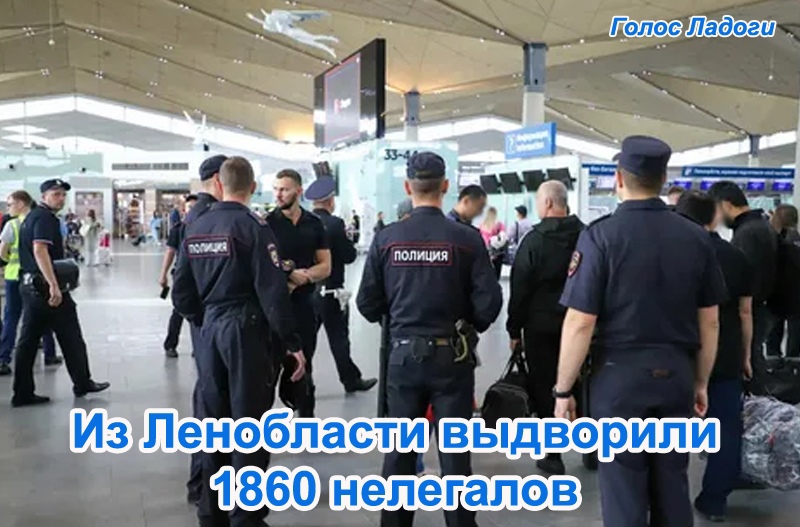 Из Ленобласти выдворили 1860 нелегалов