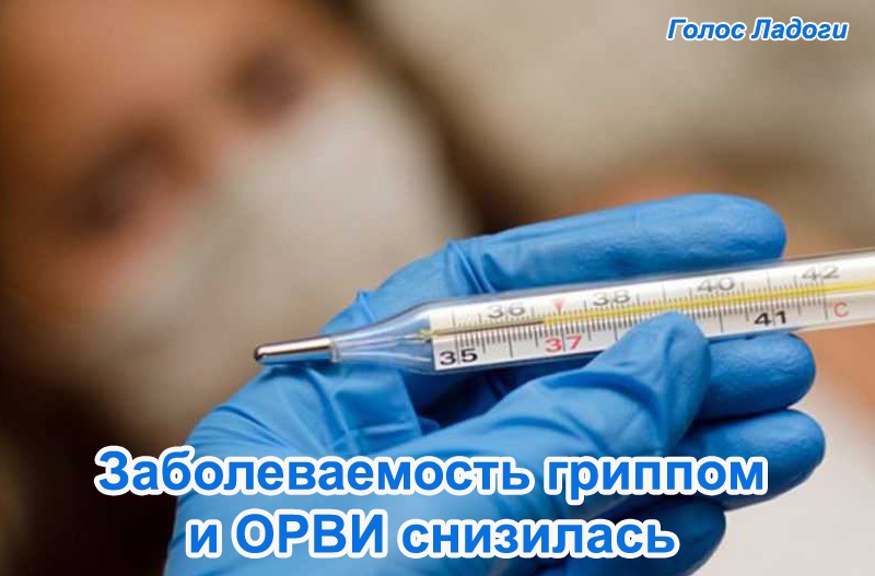 Заболеваемость гриппом и ОРВИ снизилась