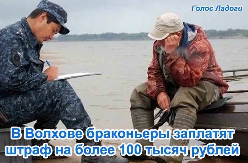 В Волхове браконьеры заплатят штраф на более 100 тысяч рублей