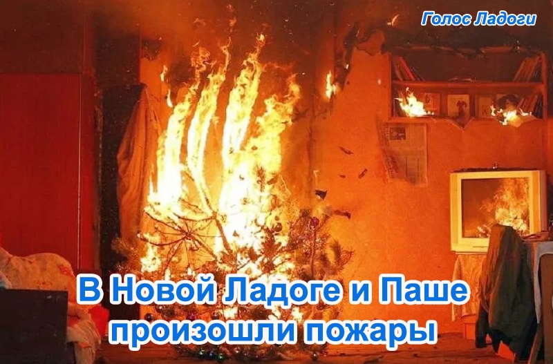 В Новой Ладоге и Паше произошли пожары