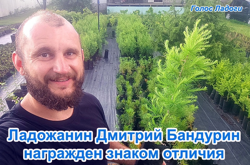 Ладожанин Дмитрий Бандурин награжден знаком отличия