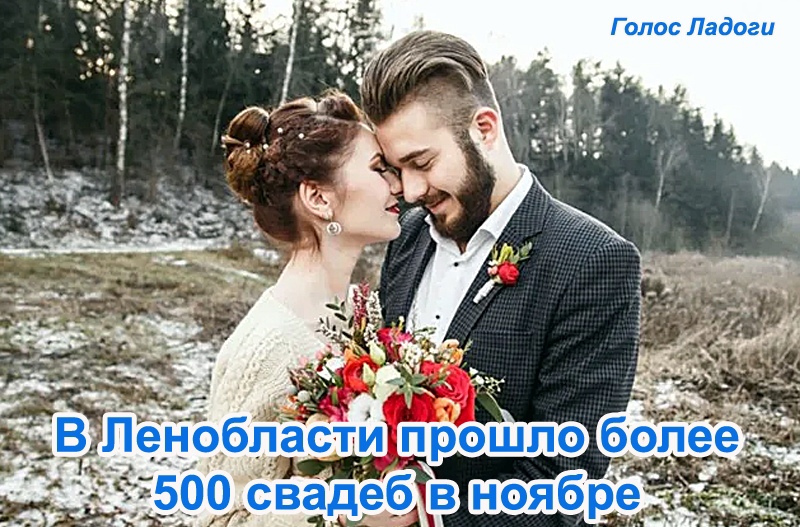 В Ленобласти прошло более 500 свадеб в ноябре