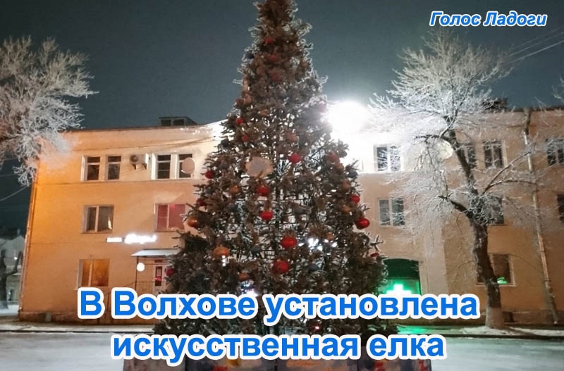 В Волхове установлена искусственная елка