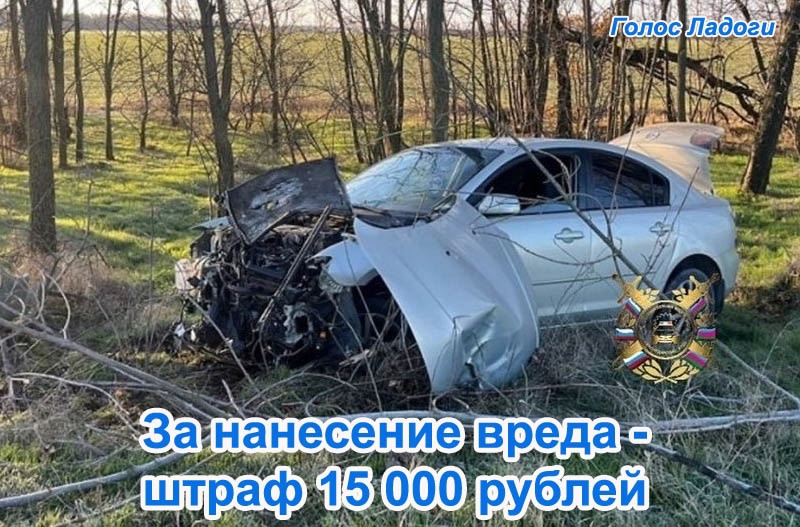За нанесение вреда - штраф 15 000 рублей