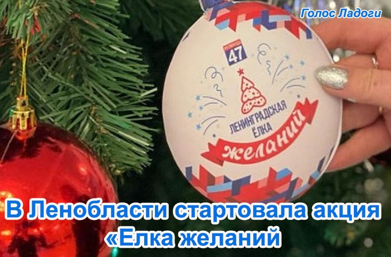 В Ленобласти стартовала акция Елка желаний