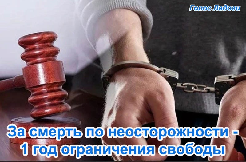За смерть по неосторожности - 1 год ограничения свободы