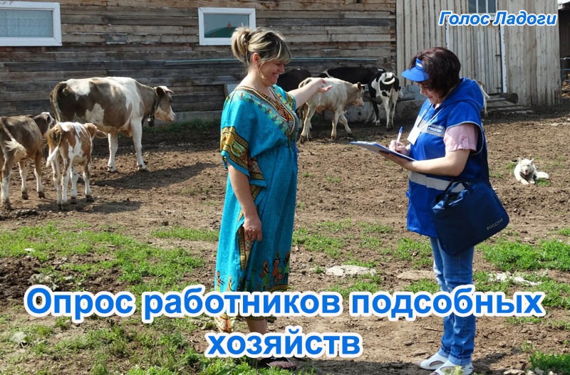 Опрос работников подсобных хозяйств