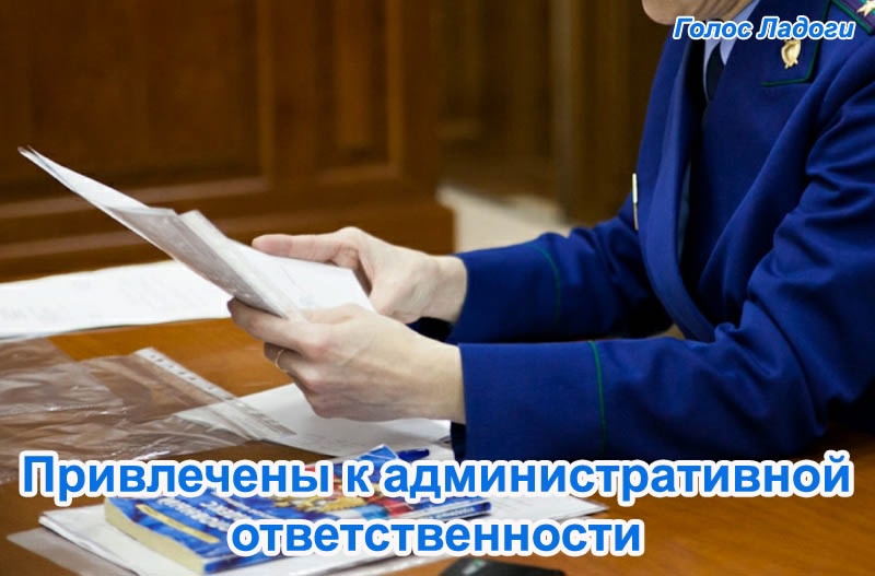 Привлечены к административной ответственности