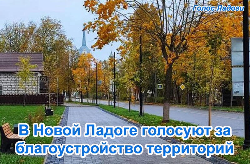 В Новой Ладоге голосуют за благоустройство территорий