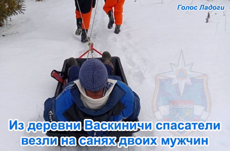 Из деревни Васкиничи спасатели везли на санях двоих мужчин