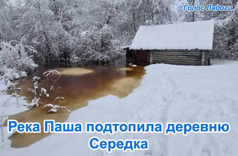 Река Паша подтопила деревню Середка