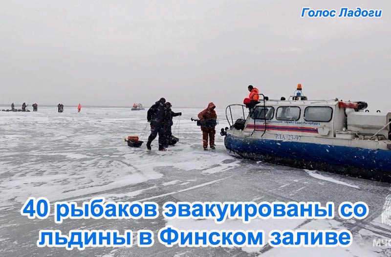40 рыбаков эвакуированы со льдины в Финском заливе 