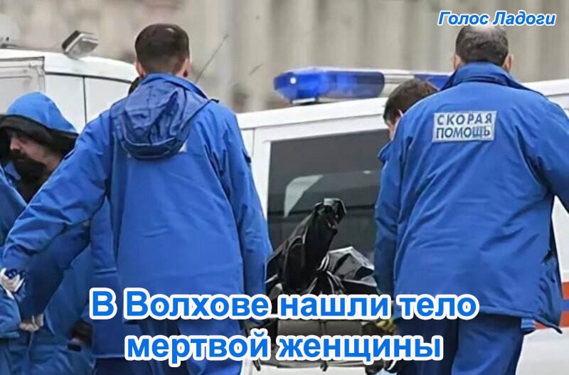 В Волхове нашли тело мертвой женщины