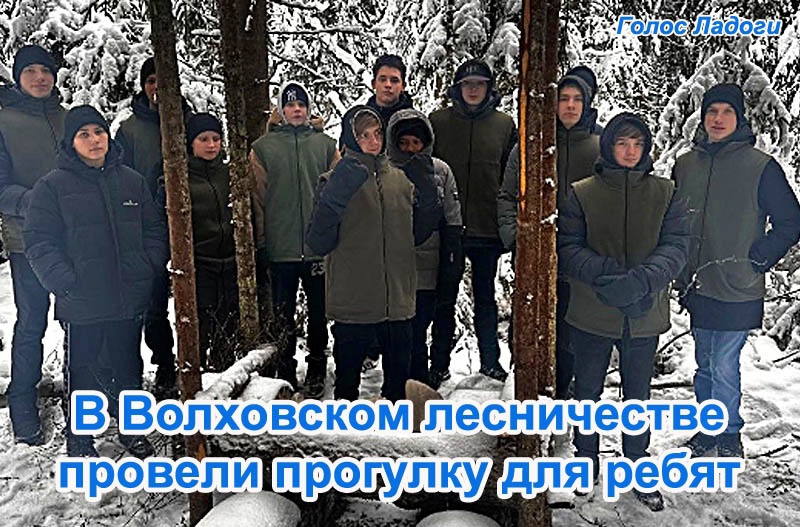В Волховском лесничестве провели прогулку для ребят