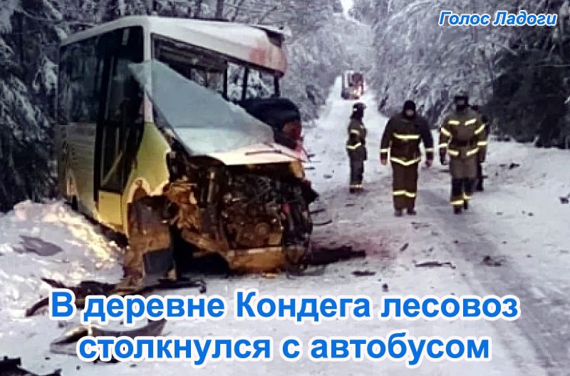 В деревне Кондега лесовоз столкнулся с автобусом