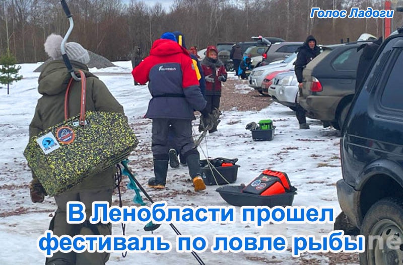 В Ленобласти прошел фестиваль по ловле рыбы 
