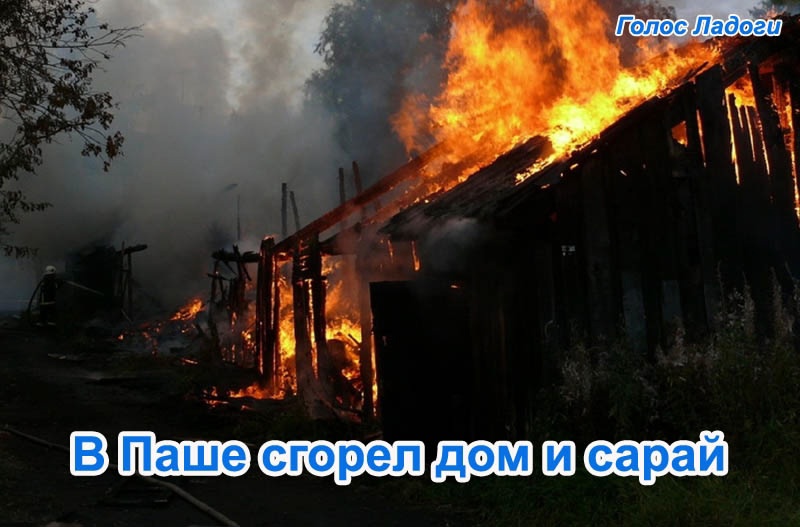 В Паше сгорел дом и сарай