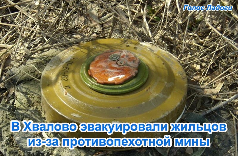 В Хвалово эвакуировали жильцов из-за противопехотной мины 