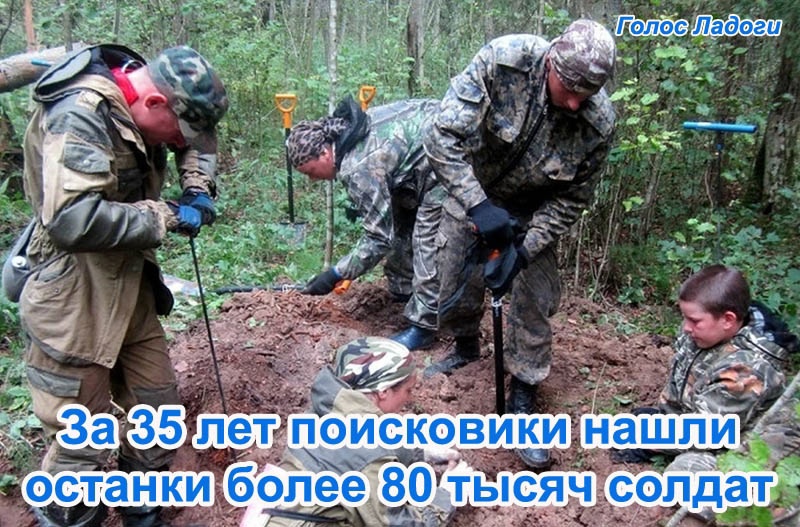 За 35 лет поисковики нашли останки более 80 тысяч солдат 