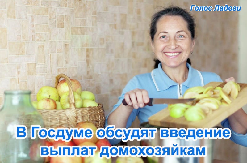 В Госдуме обсудят введение выплат домохозяйкам