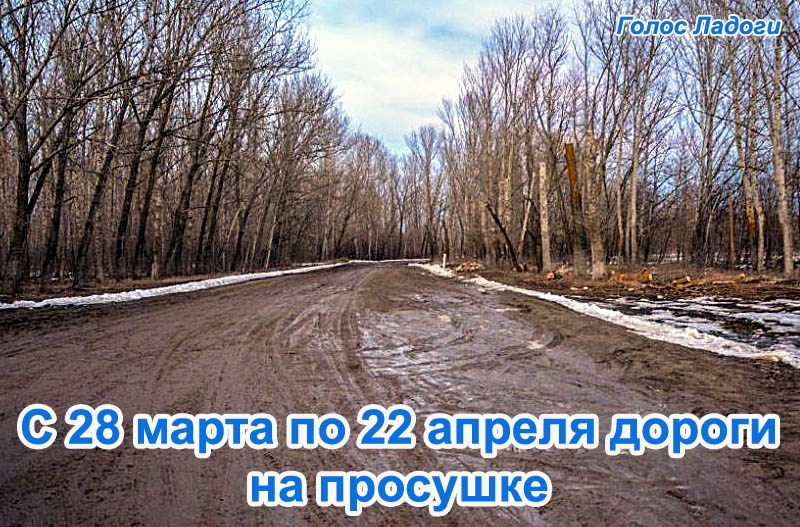 С 28 марта по 22 апреля дороги на просушке