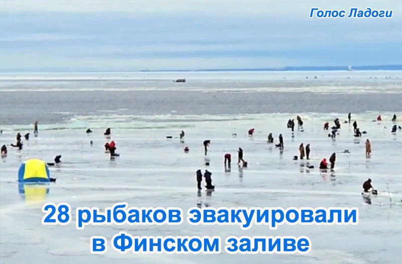 28 рыбаков эвакуировали в Финском заливе
