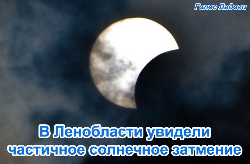 В Ленобласти увидели частичное солнечное затмение