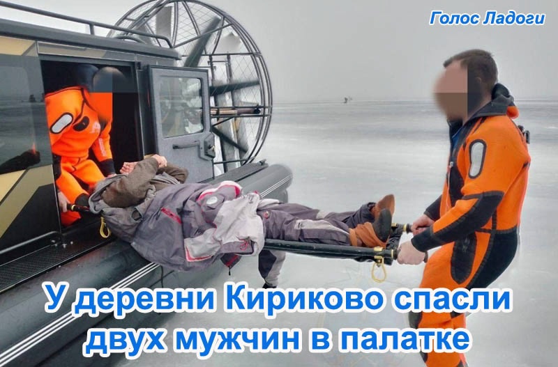 В Порогах мужчина выстрелил из ружья в собаку