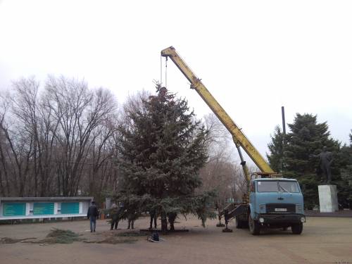 Две елки для Посьета