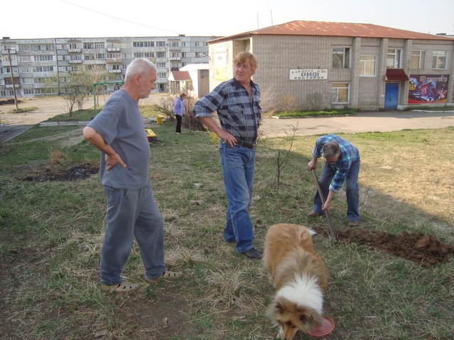 Дворы засияли чистотой