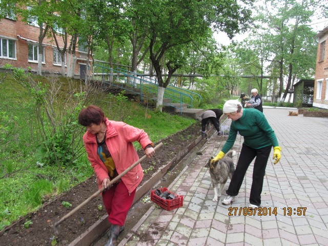 В подарок  пограничникам