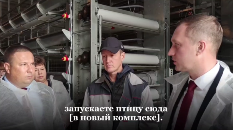 Яичный бум. Лысогорская птицефабрика в 2 раза увеличивает мощности